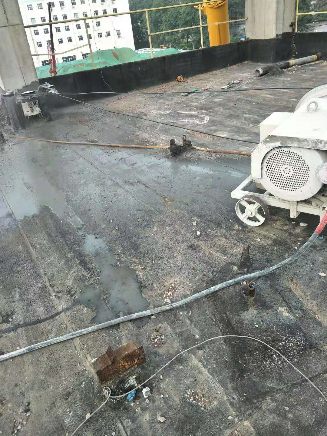 1644728234715588.jpg QQ圖片20210202150630.jpg