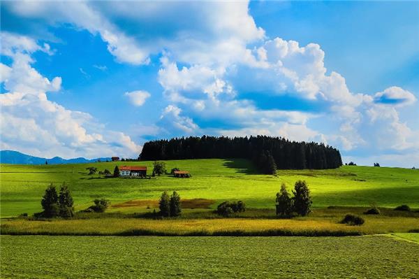 拆除工程的簡單版合同。